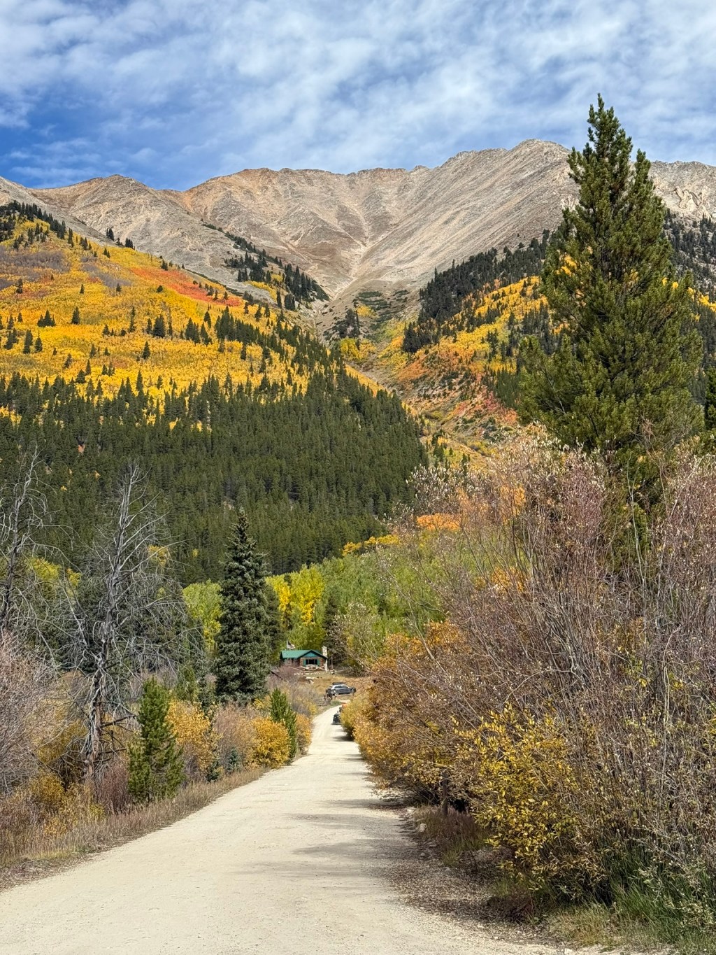 Kat’s 3 of Nolan’s&nbsp;4