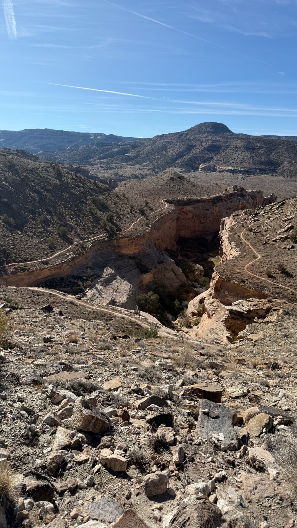 Katz Party in the&nbsp;Desert